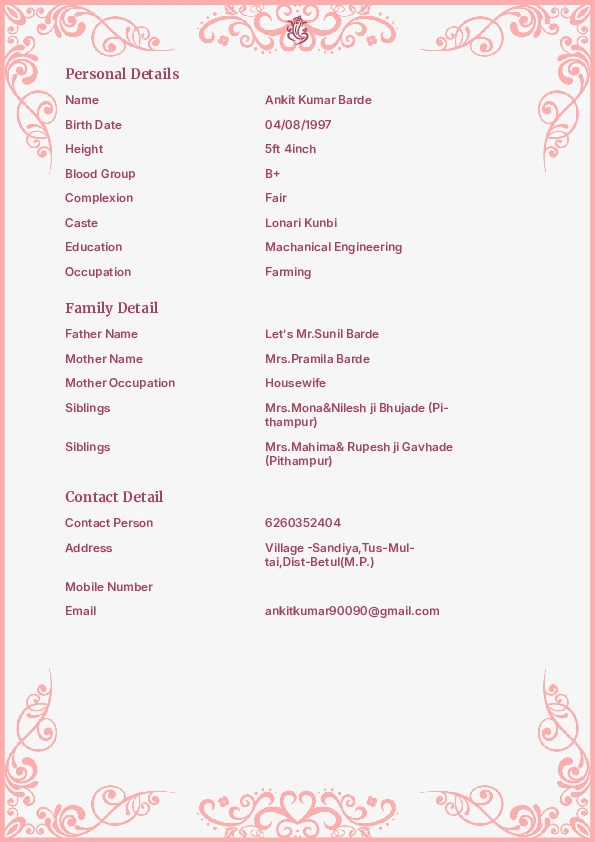 Modern Pink || Female biodata format